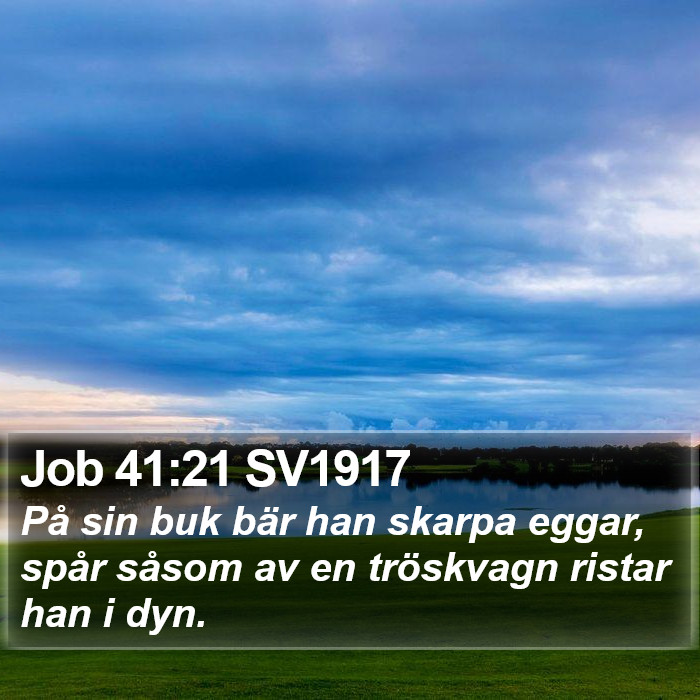 Job 41:21 SV1917 Bible Study