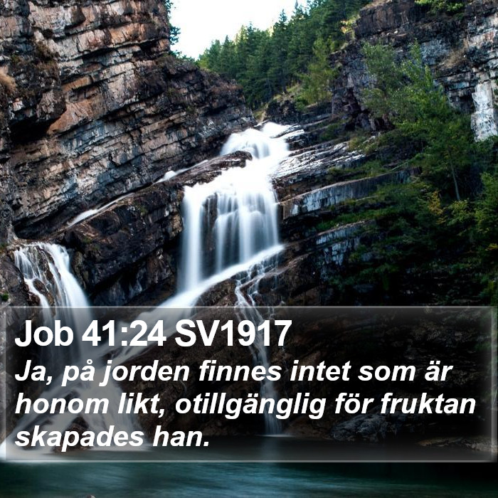 Job 41:24 SV1917 Bible Study