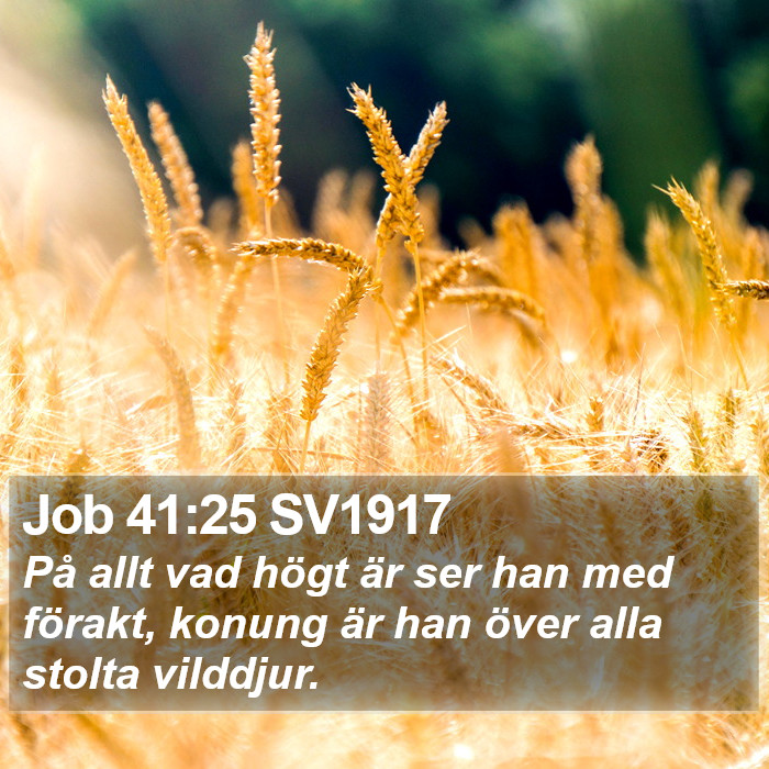 Job 41:25 SV1917 Bible Study