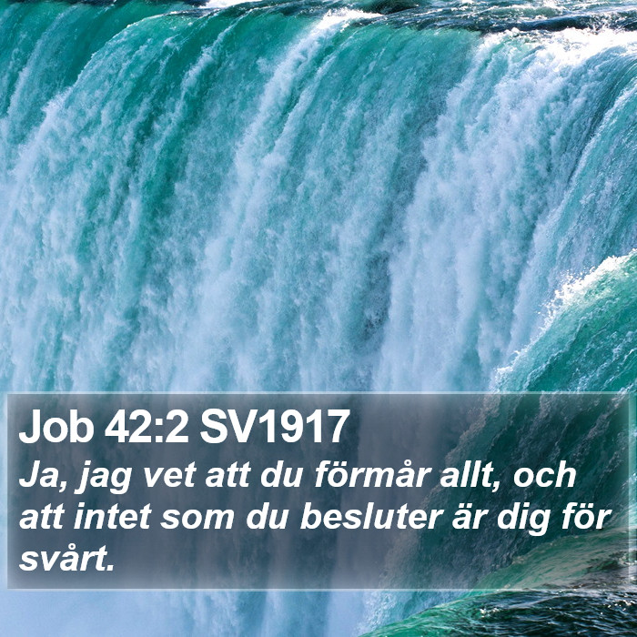 Job 42:2 SV1917 Bible Study