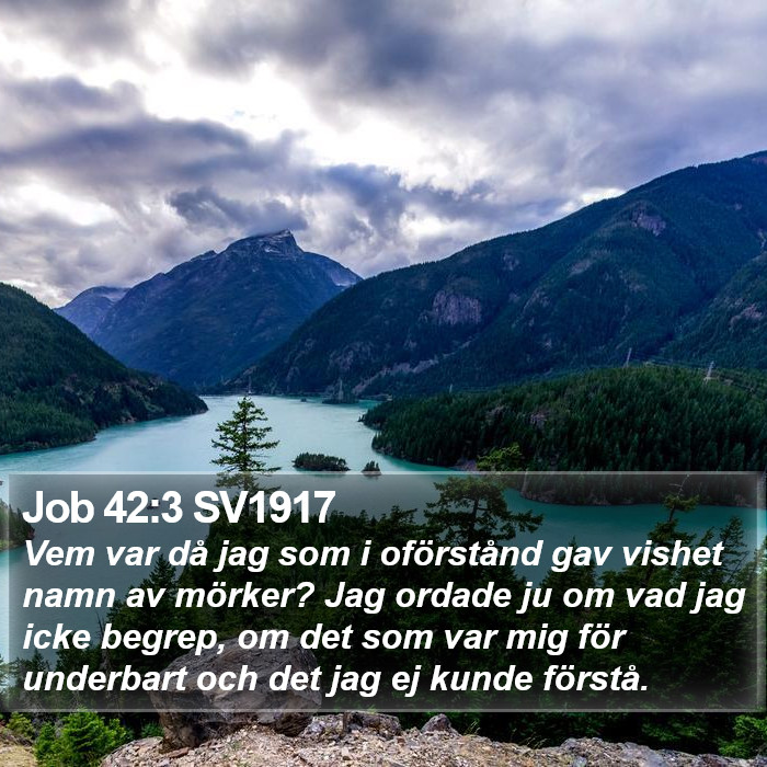 Job 42:3 SV1917 Bible Study