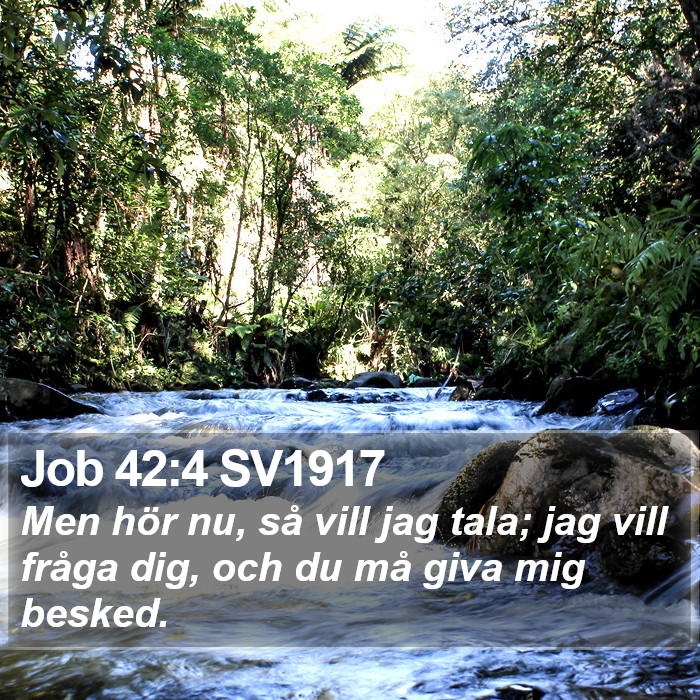 Job 42:4 SV1917 Bible Study