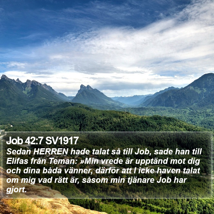 Job 42:7 SV1917 Bible Study