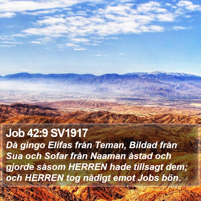 Job 42:9 SV1917 Bible Study