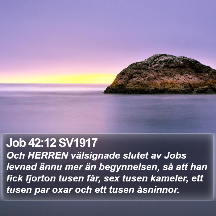 Job 42:12 SV1917 Bible Study