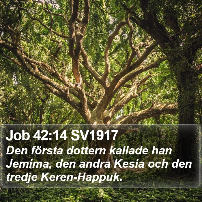 Job 42:14 SV1917 Bible Study