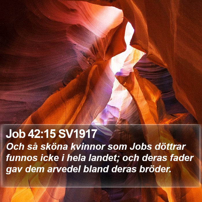 Job 42:15 SV1917 Bible Study