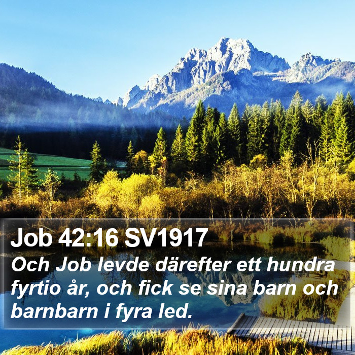 Job 42:16 SV1917 Bible Study