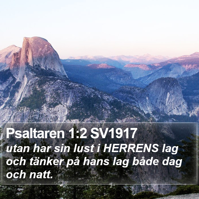 Psaltaren 1:2 SV1917 Bible Study