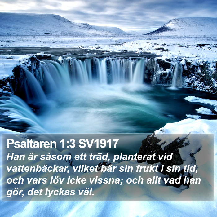 Psaltaren 1:3 SV1917 Bible Study