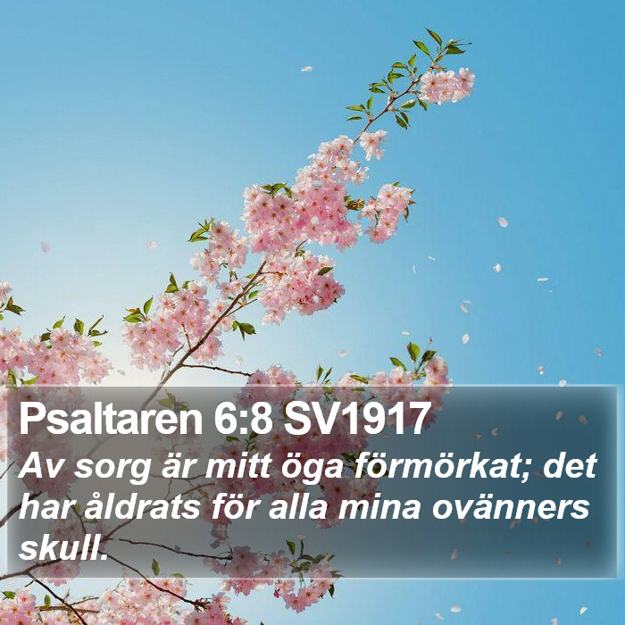 Psaltaren 6:8 SV1917 Bible Study