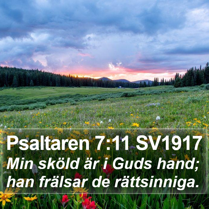 Psaltaren 7:11 SV1917 Bible Study