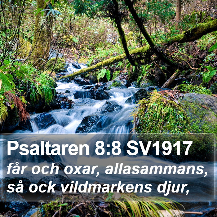 Psaltaren 8:8 SV1917 Bible Study
