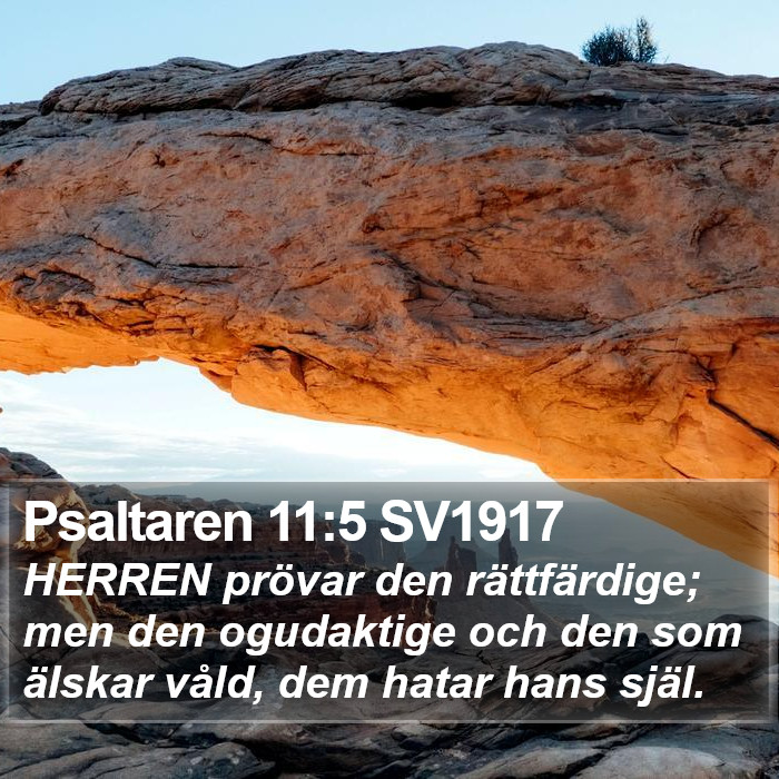 Psaltaren 11:5 SV1917 Bible Study