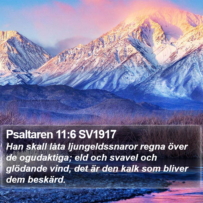 Psaltaren 11:6 SV1917 Bible Study