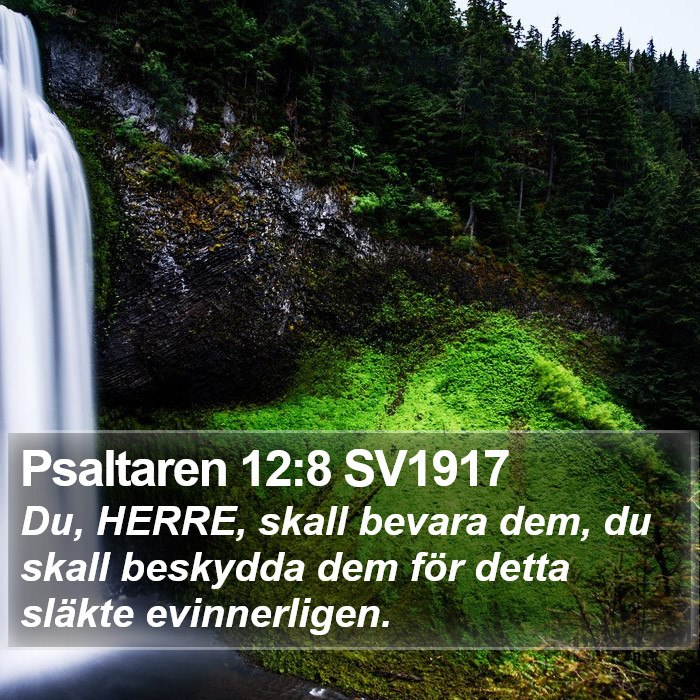 Psaltaren 12:8 SV1917 Bible Study