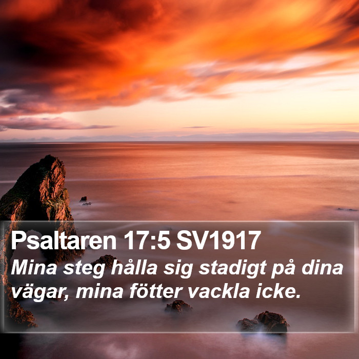 Psaltaren 17:5 SV1917 Bible Study