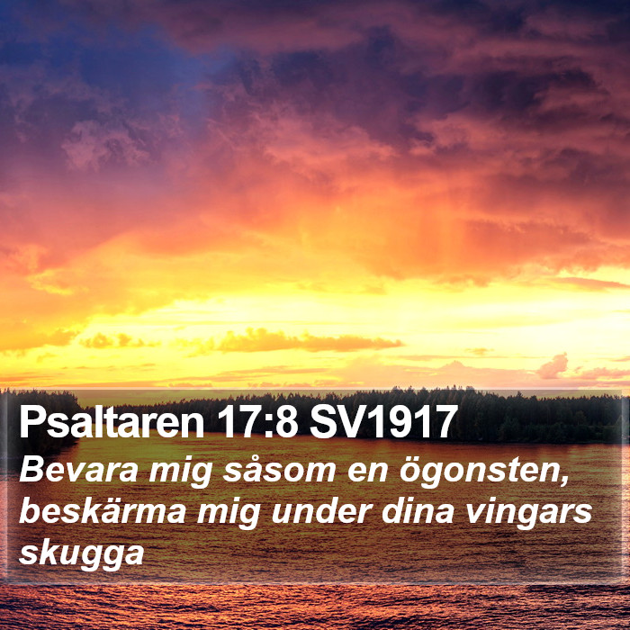 Psaltaren 17:8 SV1917 Bible Study