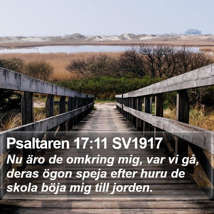 Psaltaren 17:11 SV1917 Bible Study