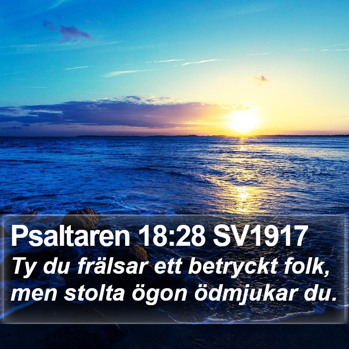 Psaltaren 18:28 SV1917 Bible Study