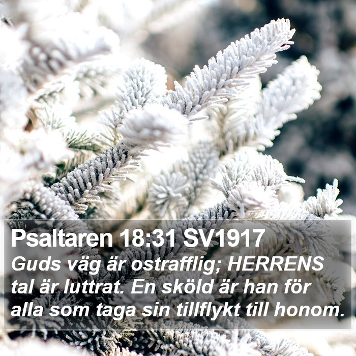 Psaltaren 18:31 SV1917 Bible Study