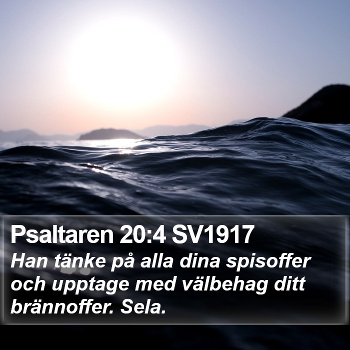 Psaltaren 20:4 SV1917 Bible Study