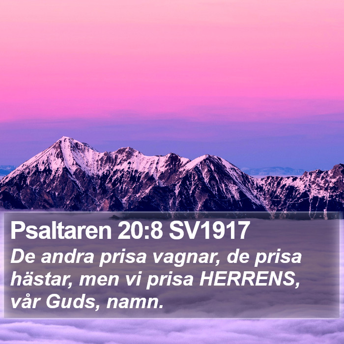 Psaltaren 20:8 SV1917 Bible Study