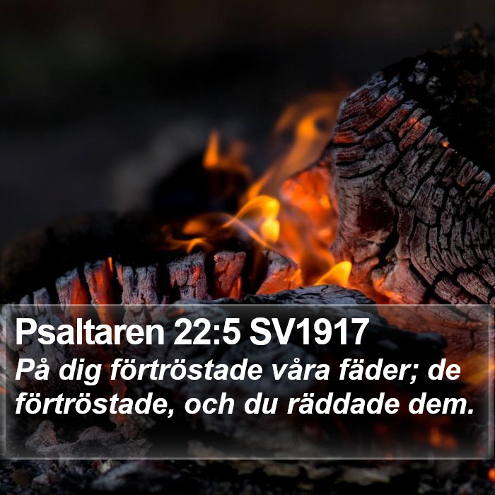 Psaltaren 22:5 SV1917 Bible Study