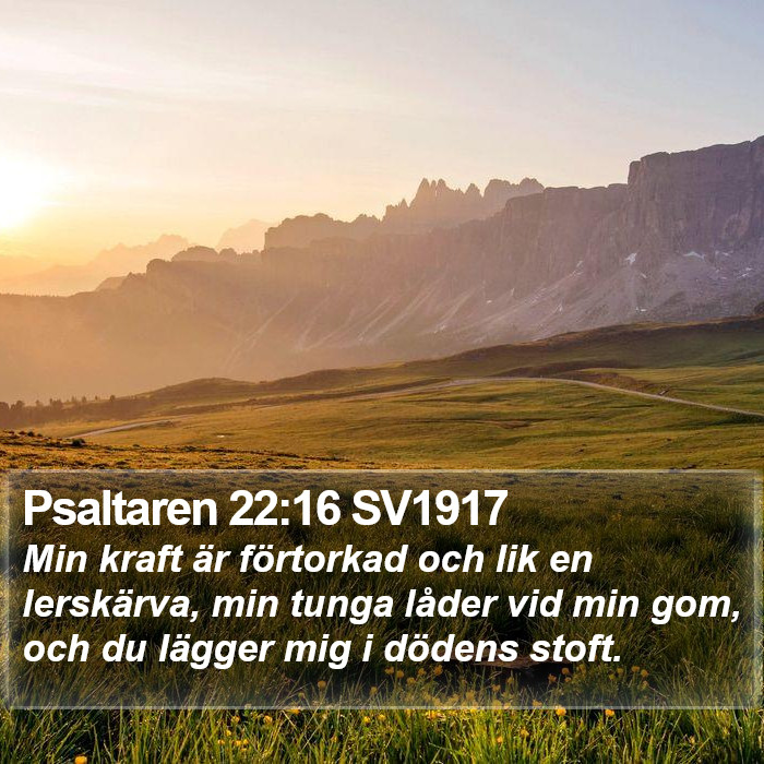 Psaltaren 22:16 SV1917 Bible Study