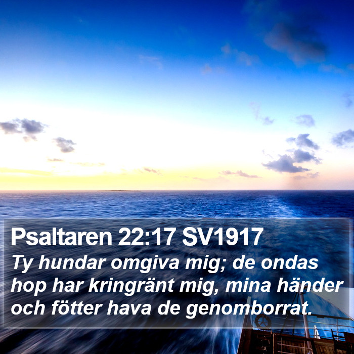 Psaltaren 22:17 SV1917 Bible Study