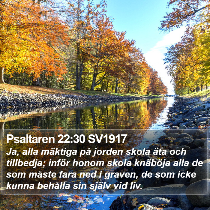 Psaltaren 22:30 SV1917 Bible Study