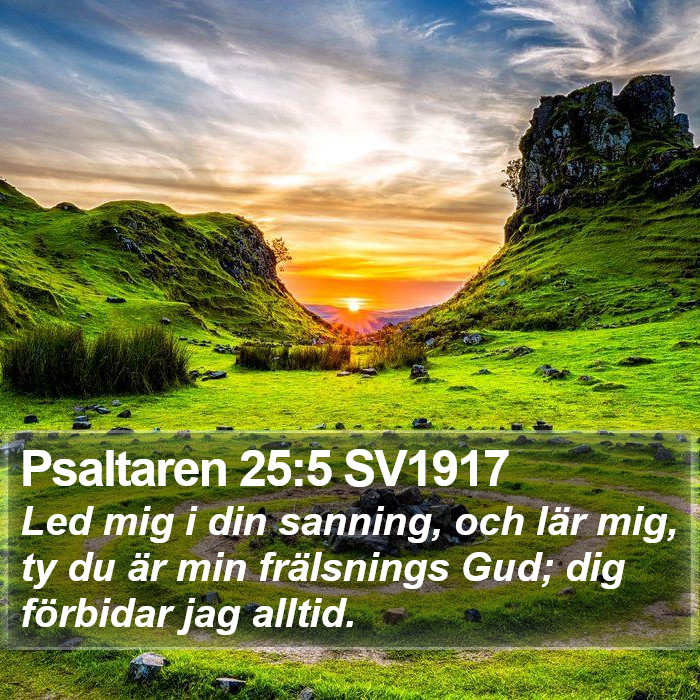 Psaltaren 25:5 SV1917 Bible Study