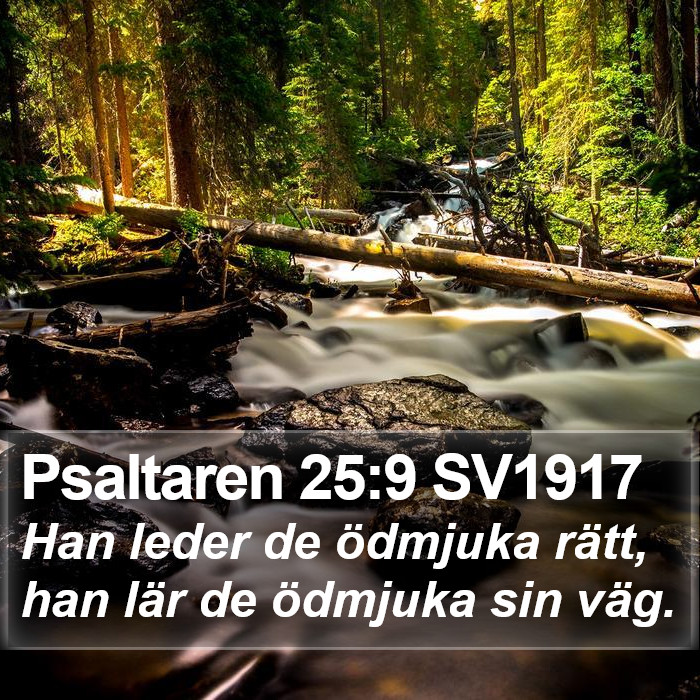 Psaltaren 25:9 SV1917 Bible Study