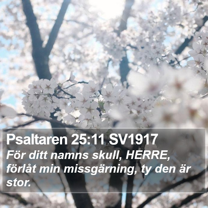 Psaltaren 25:11 SV1917 Bible Study