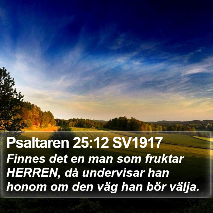 Psaltaren 25:12 SV1917 Bible Study