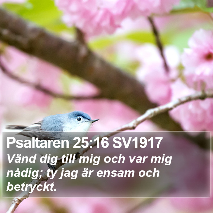 Psaltaren 25:16 SV1917 Bible Study