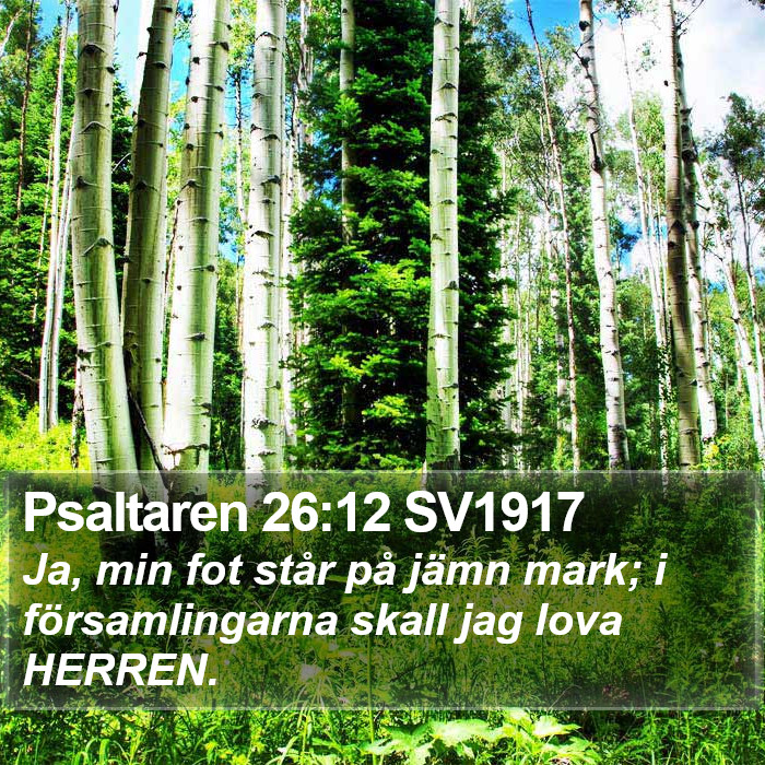 Psaltaren 26:12 SV1917 Bible Study