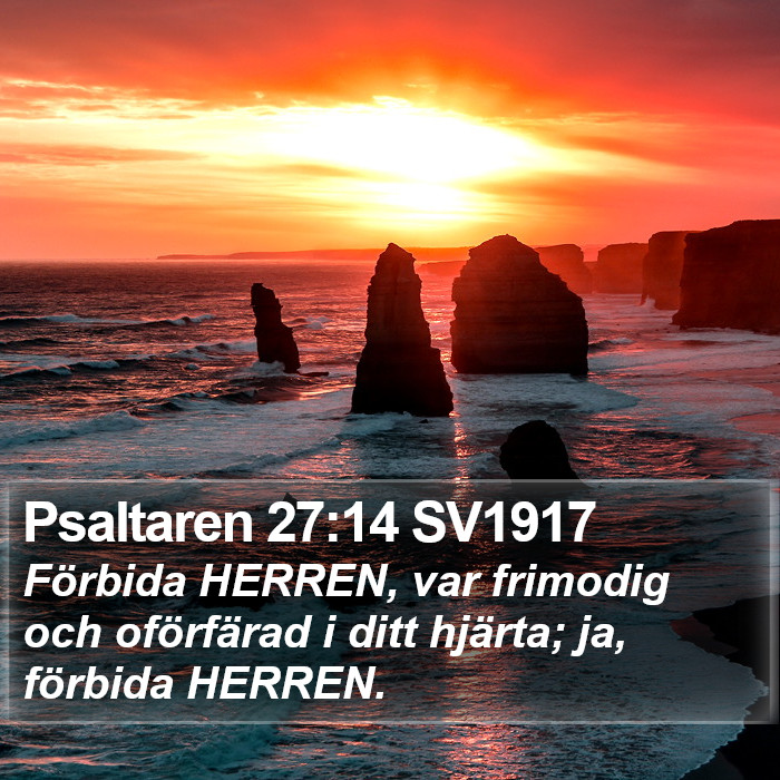 Psaltaren 27:14 SV1917 Bible Study