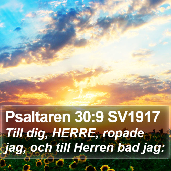Psaltaren 30:9 SV1917 Bible Study
