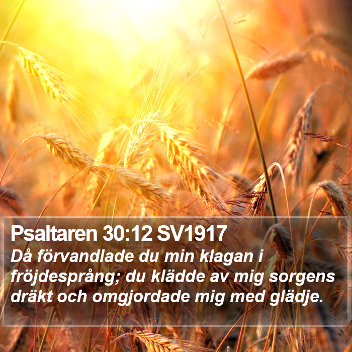 Psaltaren 30:12 SV1917 Bible Study