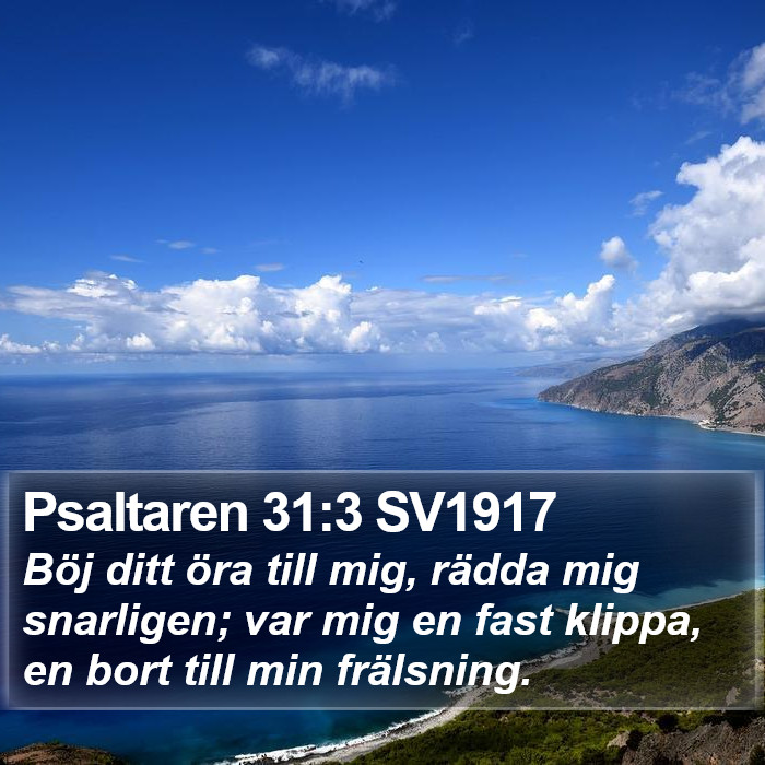 Psaltaren 31:3 SV1917 Bible Study