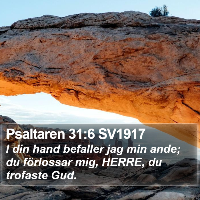 Psaltaren 31:6 SV1917 Bible Study