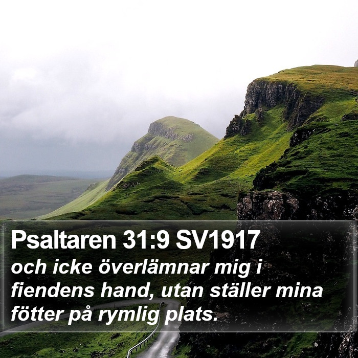 Psaltaren 31:9 SV1917 Bible Study