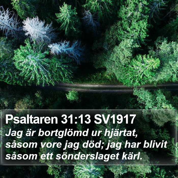 Psaltaren 31:13 SV1917 Bible Study