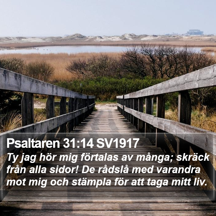 Psaltaren 31:14 SV1917 Bible Study