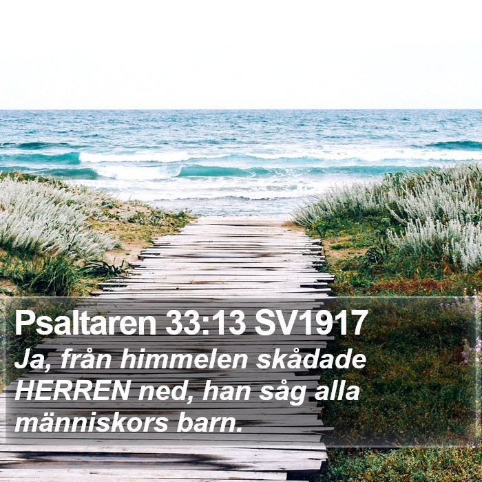Psaltaren 33:13 SV1917 Bible Study