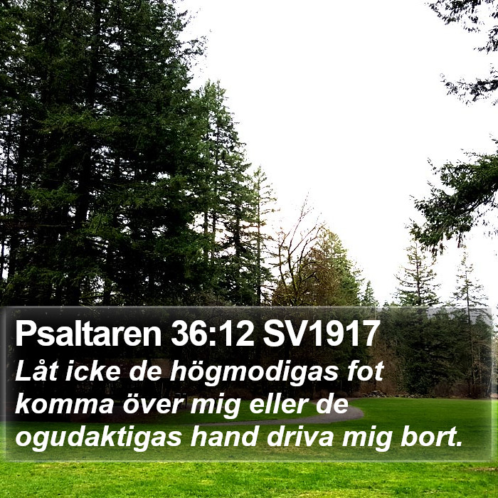 Psaltaren 36:12 SV1917 Bible Study