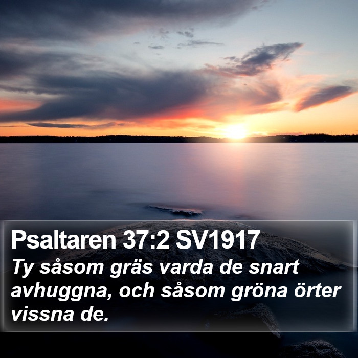 Psaltaren 37:2 SV1917 Bible Study