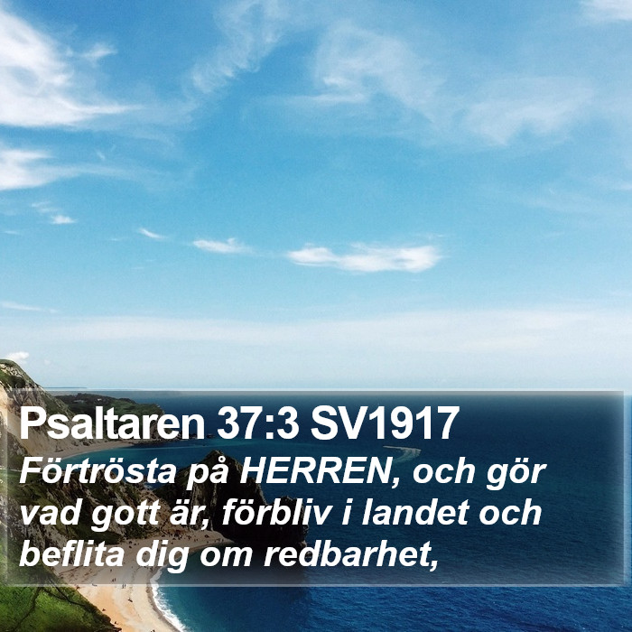 Psaltaren 37:3 SV1917 Bible Study