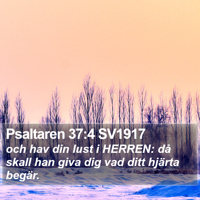 Psaltaren 37:4 SV1917 Bible Study